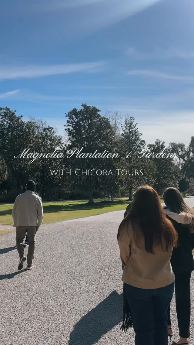 Chicora Tours